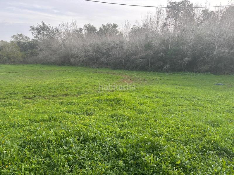 Foto db024a0c-a6be-475c-8dd1-bd5705cef84e. Finca rústica a La Muela Vejer de la Frontera