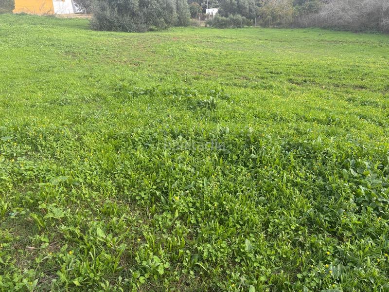 Foto df0f312f-b40b-438f-bce3-d317f864ff6c. Finca rústica a La Muela Vejer de la Frontera