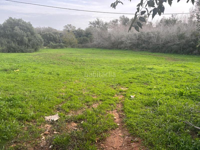 Foto e3886997-8a95-4478-a4e9-b43845541b3b. Finca rústica a La Muela Vejer de la Frontera