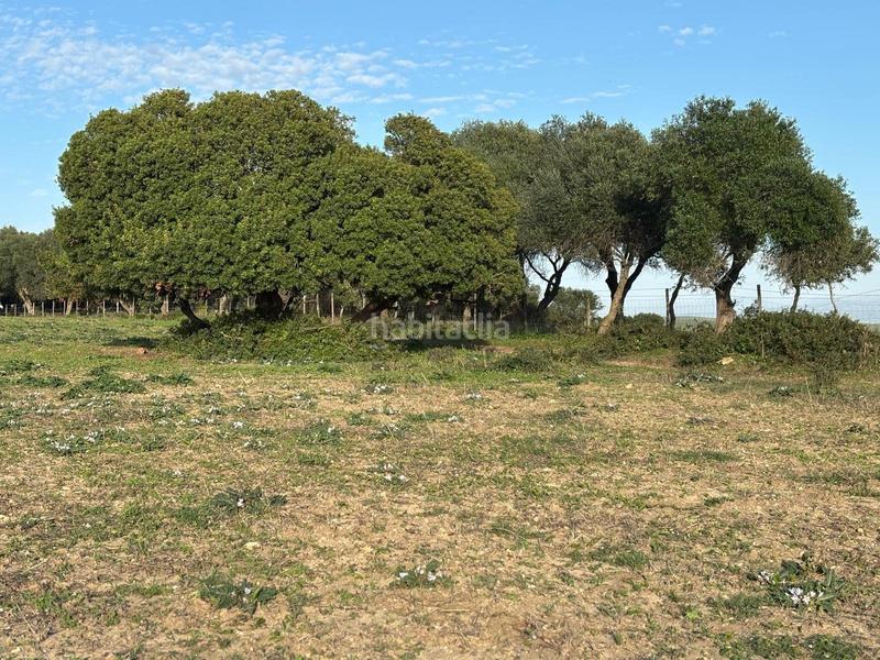 Foto 054341f9-072e-48ce-9eba-52be7ab34efa. Terreno residencial estupenda parcela con bonitas vistas en Barbate