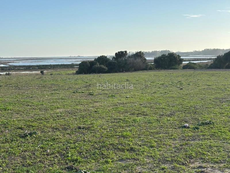 Foto 191bfbf2-8893-4f44-924d-dbcc55975f0a. Terreno residencial estupenda parcela con bonitas vistas en Barbate