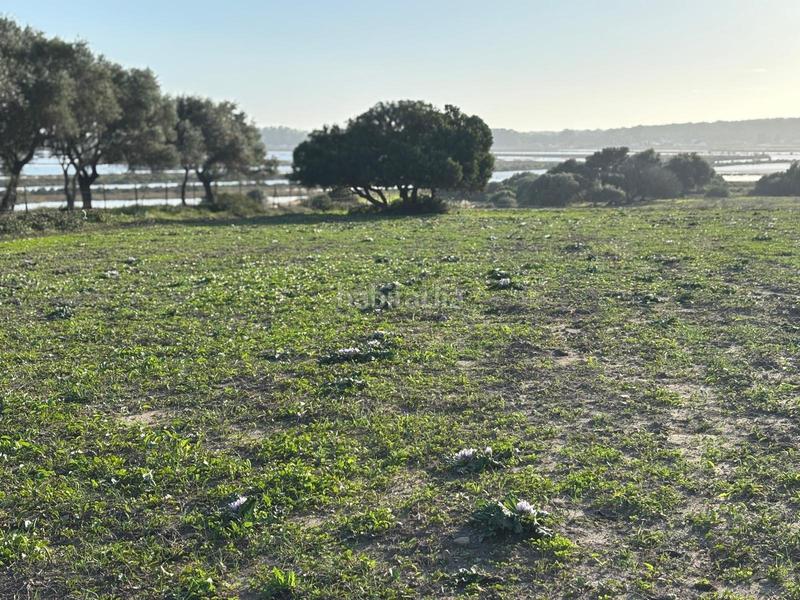 Foto 37abde63-38a7-4e0d-b357-bdbd420694e0. Terreno residencial estupenda parcela con bonitas vistas en Barbate