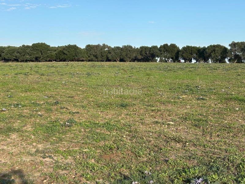 Foto 3d0273e5-5fb9-4f5a-b9e4-667d55d0cc79. Terreno residencial estupenda parcela con bonitas vistas en Barbate