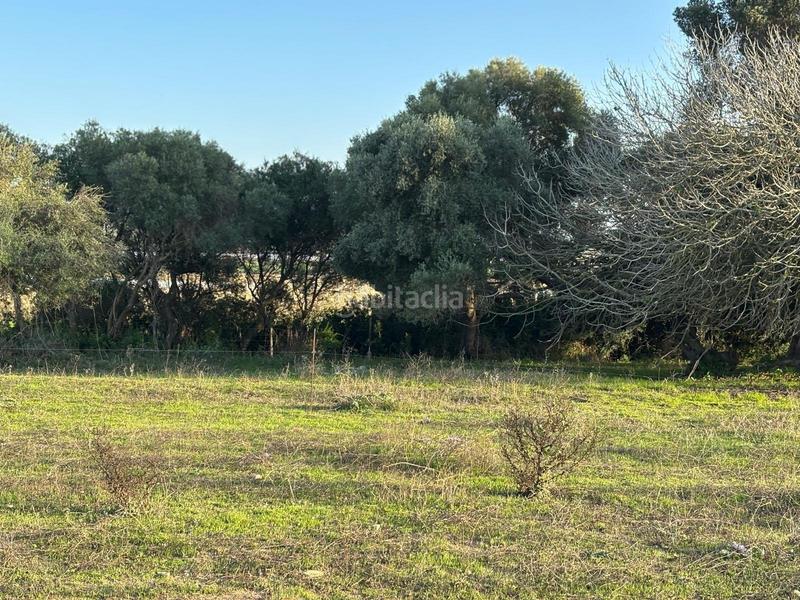 Foto 46be44d8-65b5-42d0-bf26-6fc45860fd37. Terreno residencial estupenda parcela con bonitas vistas en Barbate