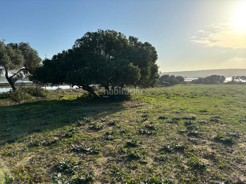 Foto 4b1464aa-6cb9-46a9-8b8a-a0b8aa406728. Terreno residencial estupenda parcela con bonitas vistas en Barbate