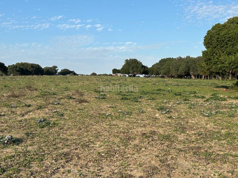 Foto 4de374ae-ed97-42c3-b277-0b209024b86d. Terreno residencial estupenda parcela con bonitas vistas en Barbate