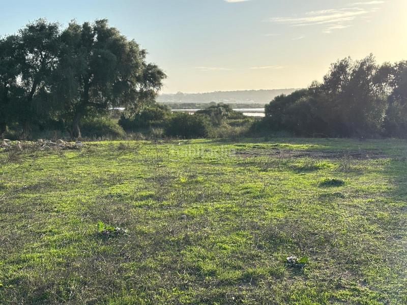 Foto 5f980c2a-2582-47f8-a0c4-e2c9a9697c49. Terreno residencial estupenda parcela con bonitas vistas en Barbate