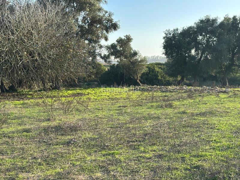 Foto 6d378deb-ce13-4776-8654-12a2dd64a788. Terreno residencial estupenda parcela con bonitas vistas en Barbate