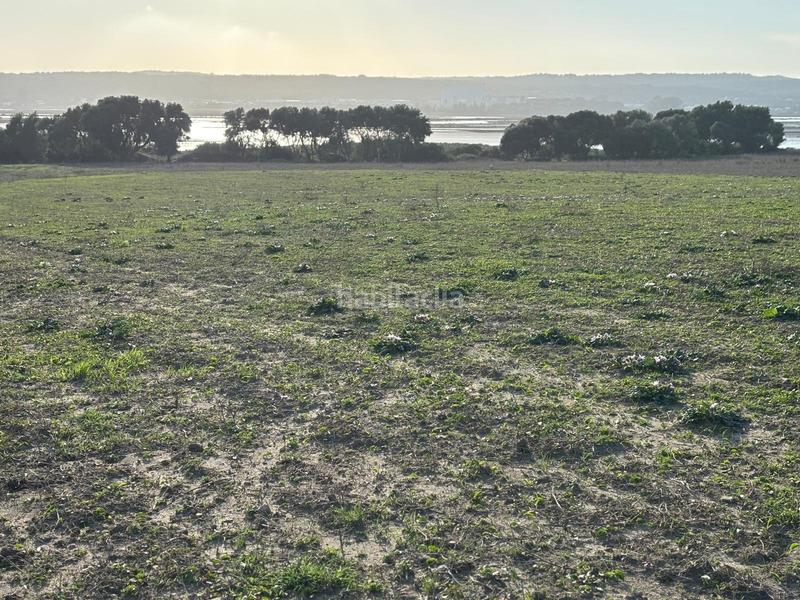 Foto 6fb43697-aa06-4634-897d-fd1e696d9a03. Terreno residencial estupenda parcela con bonitas vistas en Barbate