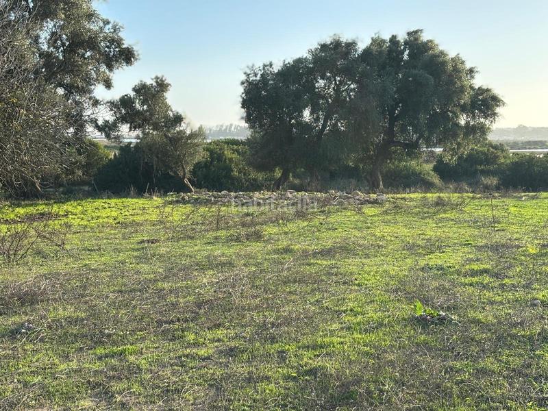 Foto 744e01d5-4e72-45df-acd3-582cbcdab3c4. Terreno residencial estupenda parcela con bonitas vistas en Barbate