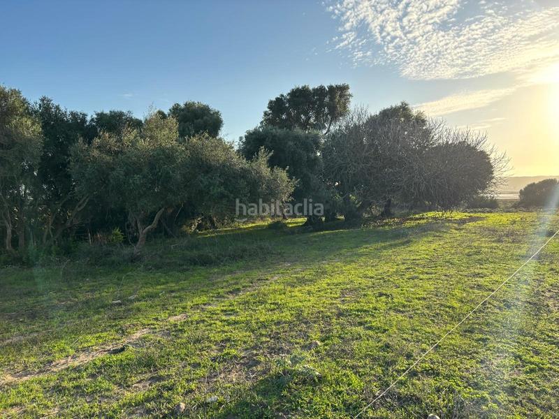 Foto 7d70d0de-ec60-431c-a293-ba9e08f2ef37. Terreno residencial estupenda parcela con bonitas vistas en Barbate