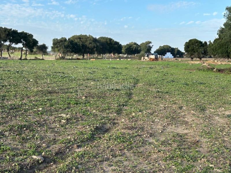 Foto a4266173-250e-45b3-8cd4-25d0d8501cff. Terreno residencial estupenda parcela con bonitas vistas en Barbate