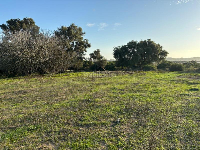 Foto a4b0bb7a-bda4-45b1-ae87-8b596949d829. Terreno residencial estupenda parcela con bonitas vistas en Barbate