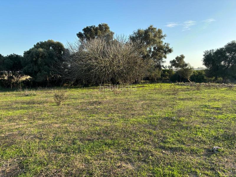 Foto a5f44dd1-e5bc-40ce-90fd-8232866550b0. Terreno residencial estupenda parcela con bonitas vistas en Barbate