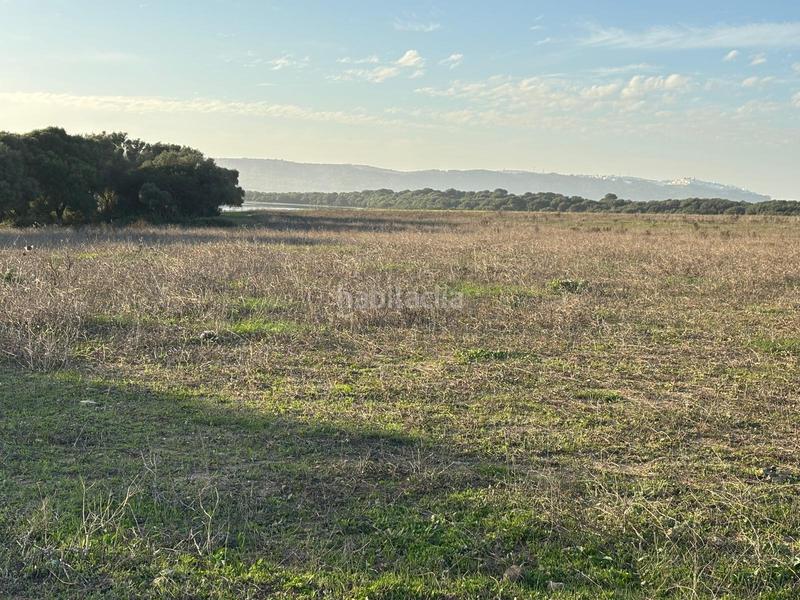 Foto b5a24944-9654-4670-bd54-d632236d64d3. Terreno residencial estupenda parcela con bonitas vistas en Barbate