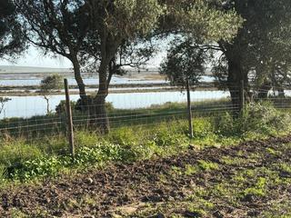 Terreny residencial a Barbate. Estupenda parcela con bonitas vistas