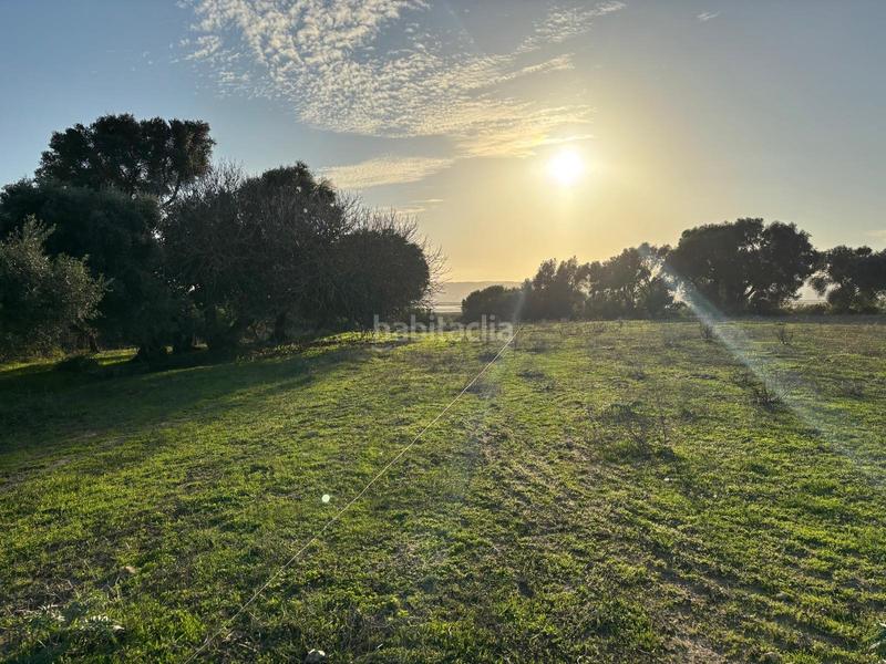 Foto bd8c61fa-6d48-484f-8e13-54957be66fce. Terreno residencial estupenda parcela con bonitas vistas en Barbate