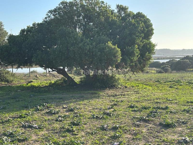 Foto c06614af-1ba0-436c-bbad-f7b85716729b. Terreno residencial estupenda parcela con bonitas vistas en Barbate