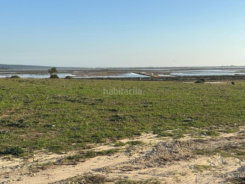 Foto c1a06915-63bf-4229-a4b5-0665fc369240. Terreno residencial estupenda parcela con bonitas vistas en Barbate