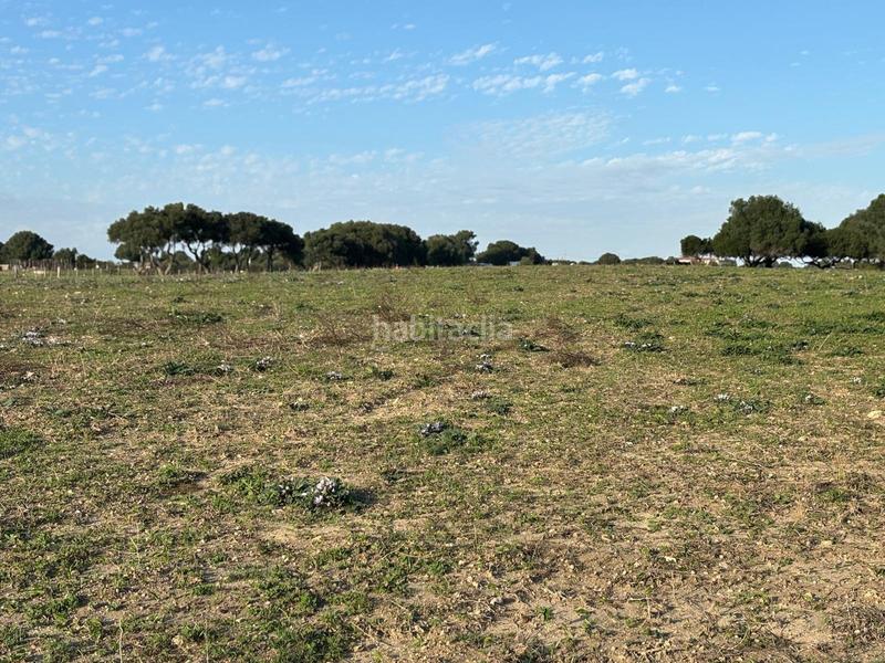 Foto d1e006f8-3332-4d07-b6cf-3cf3800a8d49. Terreno residencial estupenda parcela con bonitas vistas en Barbate