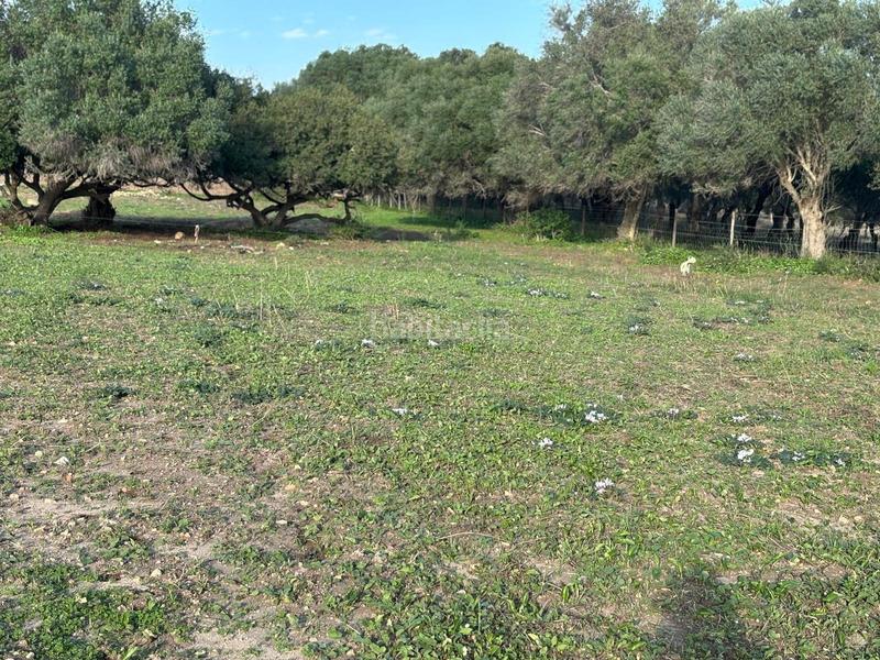 Foto d39f8568-fcc5-4ea1-a3f9-9b7b9a192199. Terreno residencial estupenda parcela con bonitas vistas en Barbate