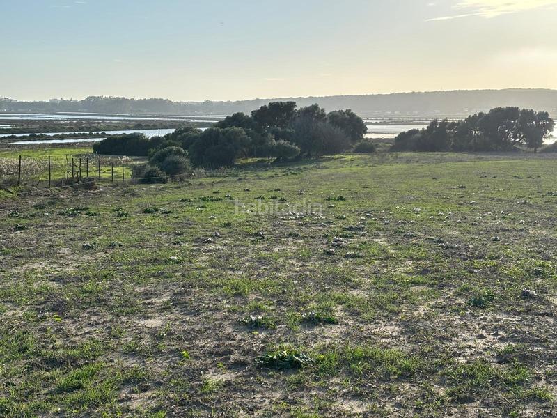 Foto e3f1ea47-d5ca-4954-b449-f84595e33913. Terreno residencial estupenda parcela con bonitas vistas en Barbate