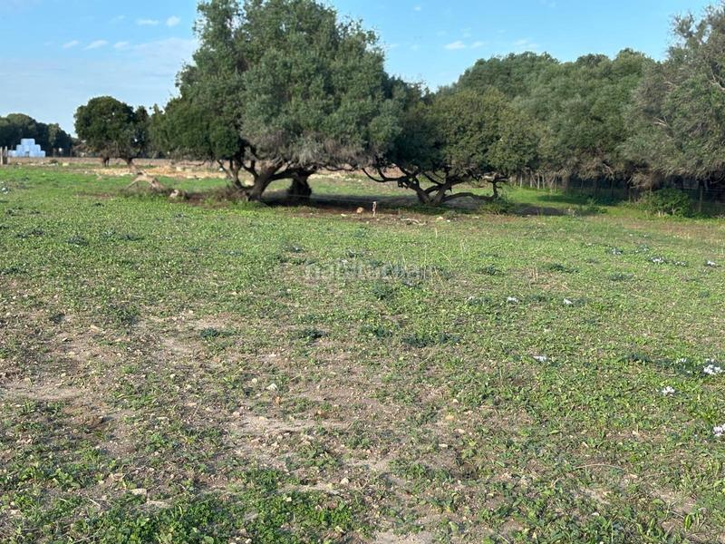 Foto ee8902d7-361e-40be-b77f-a1527046de59. Terreno residencial estupenda parcela con bonitas vistas en Barbate