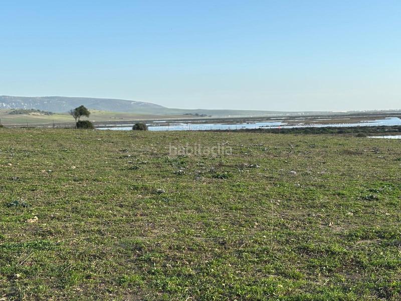 Foto f11a7cb7-0bc0-4014-8366-1536c777fbf0. Terreno residencial estupenda parcela con bonitas vistas en Barbate