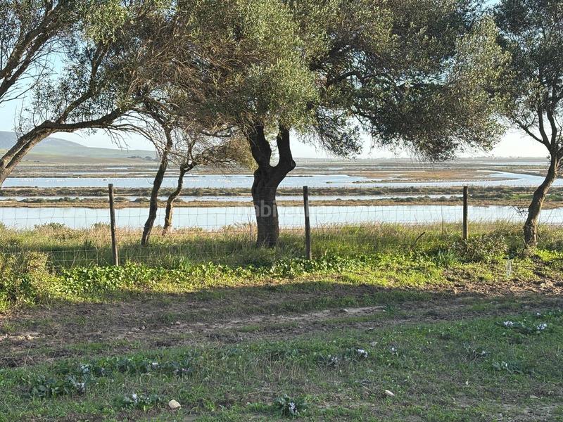 Foto f26fcc67-d66b-4f28-9683-b16b95ead75b. Terreno residencial estupenda parcela con bonitas vistas en Barbate