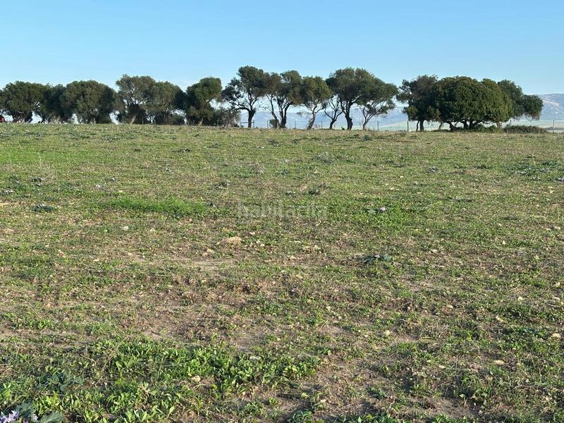 Foto f48e5a01-38e6-49b0-aa06-6c0221ea7067. Terreno residencial estupenda parcela con bonitas vistas en Barbate