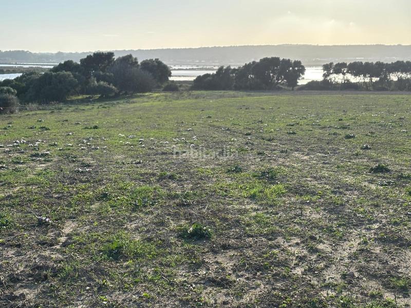 Foto f63c4256-79c0-475b-888d-07f7f758a502. Terreno residencial estupenda parcela con bonitas vistas en Barbate