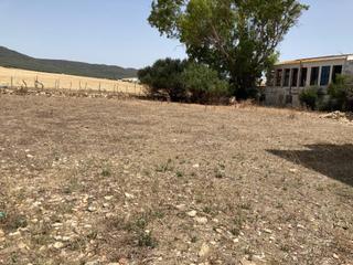 Masia a Tahivilla. Parcela rustica con vivienda