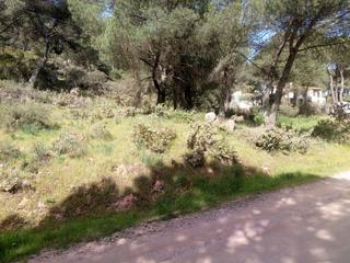 Terreny residencial a Las Jaras. En urbanizacion las jaras! el mejor precio de la zona! parcela u