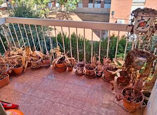 Appartement  Calle pintor pedro bueno. ¡descubre el potencial de este amplio piso en la fuensanta! con