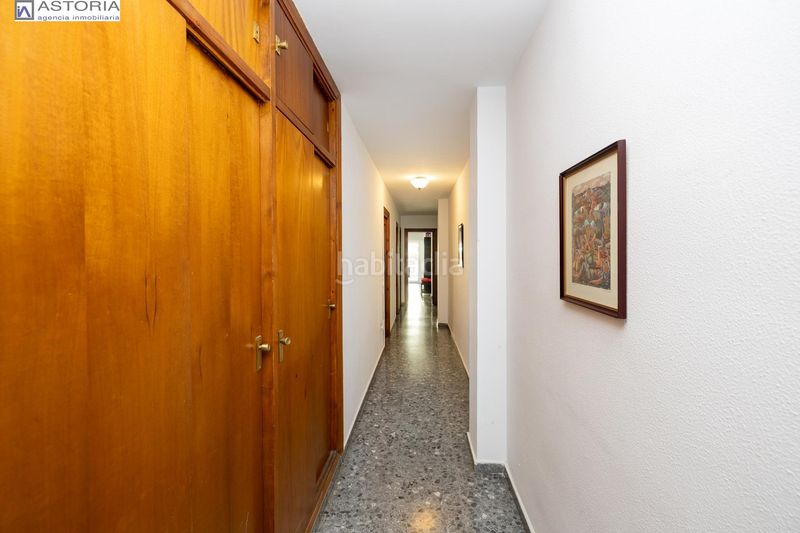 Foto 0bd85b9e-c085-4452-b879-e3f8eb5b2fc4. Pis a Pajaritos Granada