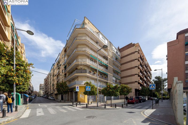 Foto 6733c592-9c00-49c1-b3ba-9840db723b9c. Pis a Pajaritos Granada