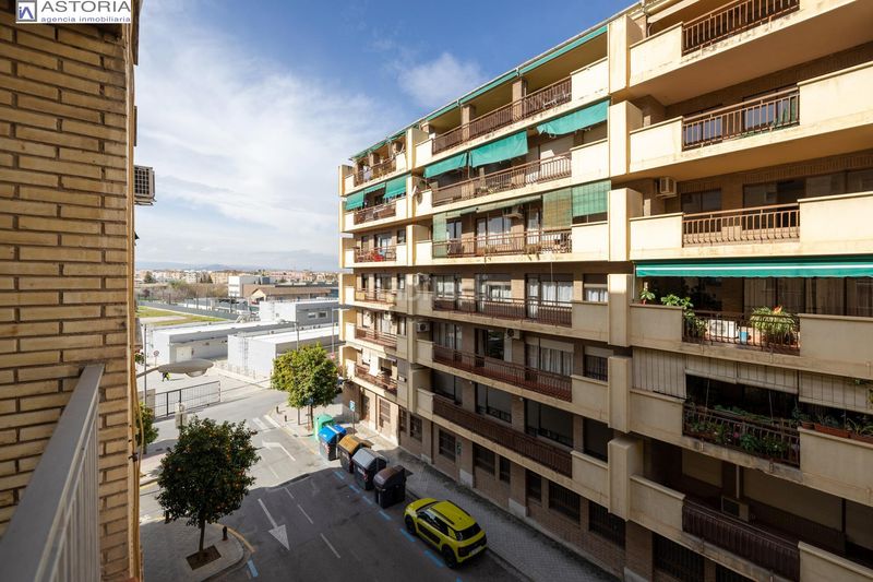 Foto bfd8ec17-baa1-4b7c-a128-57971032c39f. Pis a Pajaritos Granada