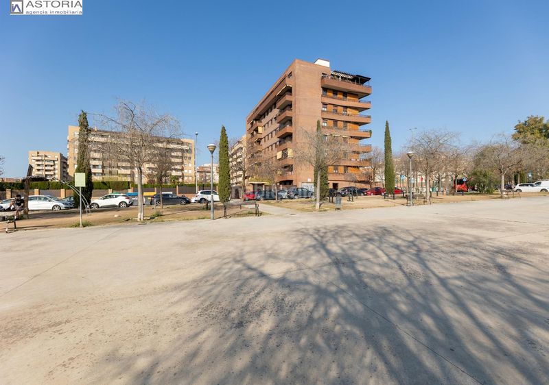 Foto 33873e26-e46a-4857-8562-db6d1bbcf6e2. Pis amb calefacció aparcament piscina a Rosaleda - Juventud Granada