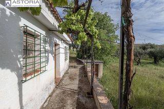 Mas  De extraradio. Finca rústica con casa de aperos y espectaculares vistas en mona