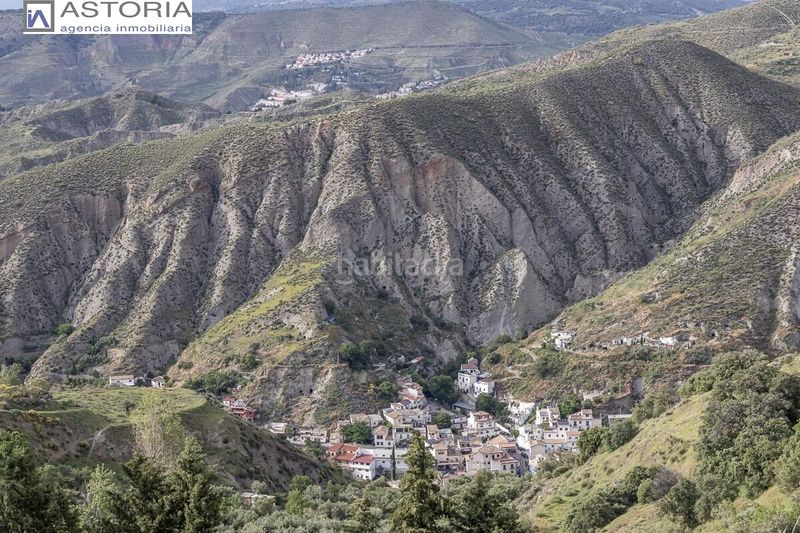 Foto d08d7a5d-bab4-49b8-a98d-8f6e18484aff. Casale in Barrio de la Vega Monachil