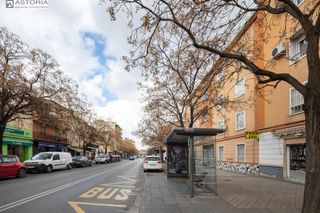 Pis a Calle PINGARRON