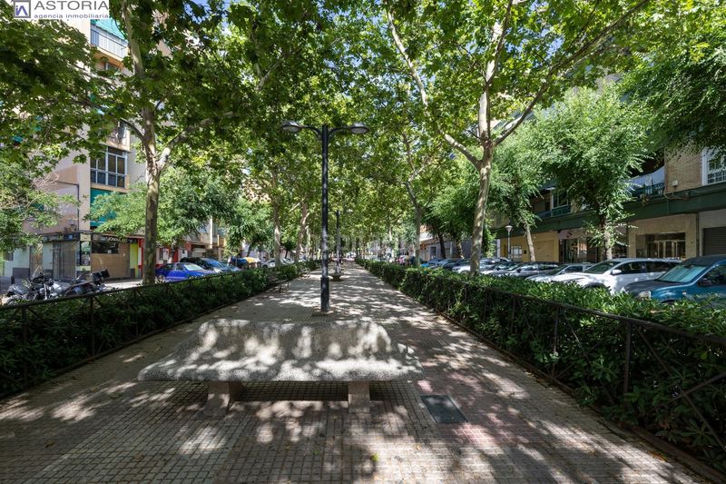 Foto c7c67444-b36a-45c7-8880-57baf84788e3. Pis a Barrio de Zaidín Granada