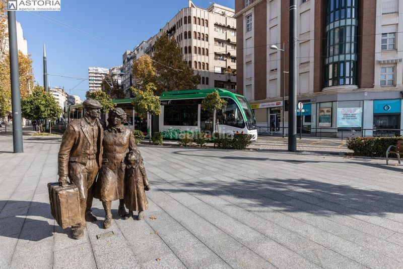Foto b7fc346a-2038-4015-ba47-d94ed0104935. Pis a Pajaritos Granada