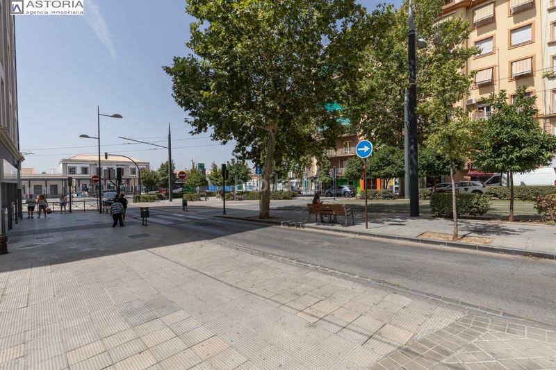 Foto d479584c-f4fc-46e8-bc43-3140a821cc1e. Pis a Pajaritos Granada