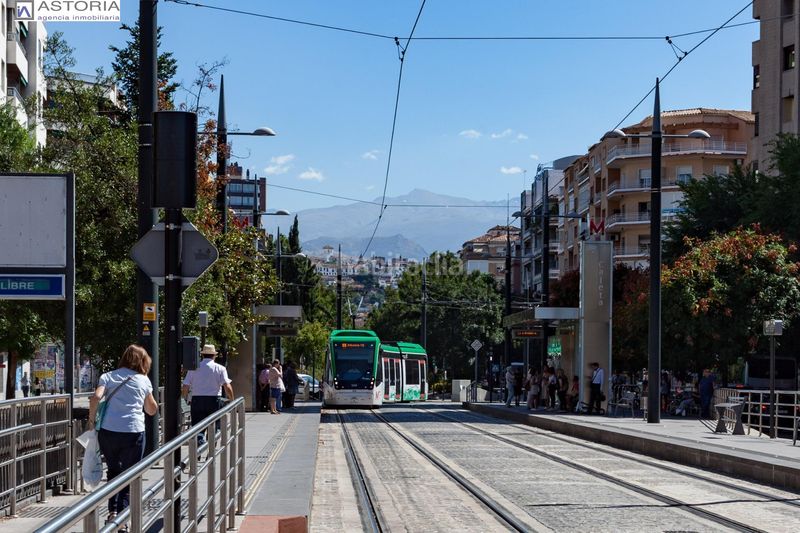 Foto ecef0d4e-1c5b-47aa-b559-11c236f55e8a. Pis a Pajaritos Granada