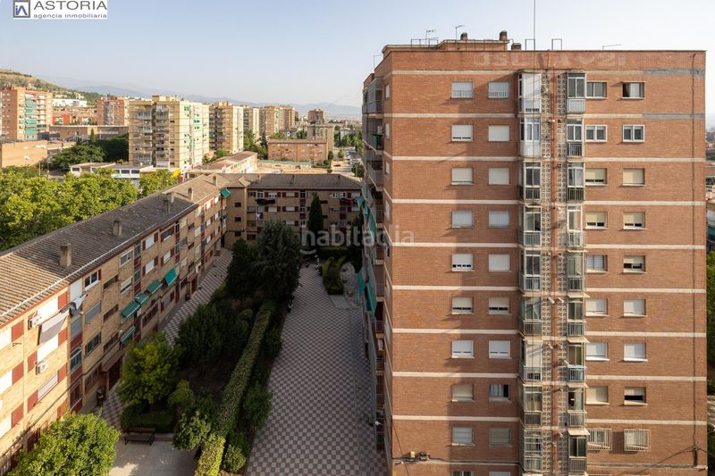 Foto e487c0d1-e73c-49b9-a7c5-ef4d4c736aaf. Pis a Cartuja Granada