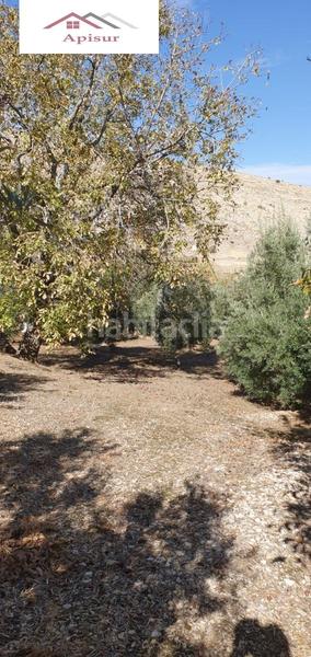 Foto 0ca251d2-0e03-4748-bbf8-d3e4388d5e72. Mas avec piscine dans Ctra. Circunvalación - La Magdalena Jaén