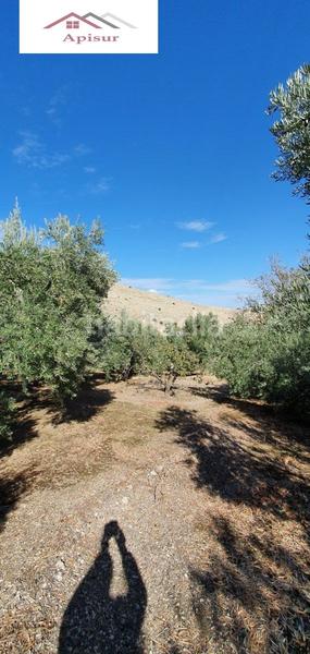Foto 3174973c-f51c-483e-b192-72fe4070424c. Mas avec piscine dans Ctra. Circunvalación - La Magdalena Jaén