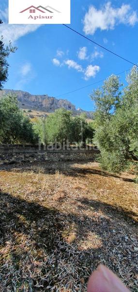 Foto 6f1320f0-b479-4159-9d84-ceed01497525. Mas avec piscine dans Ctra. Circunvalación - La Magdalena Jaén