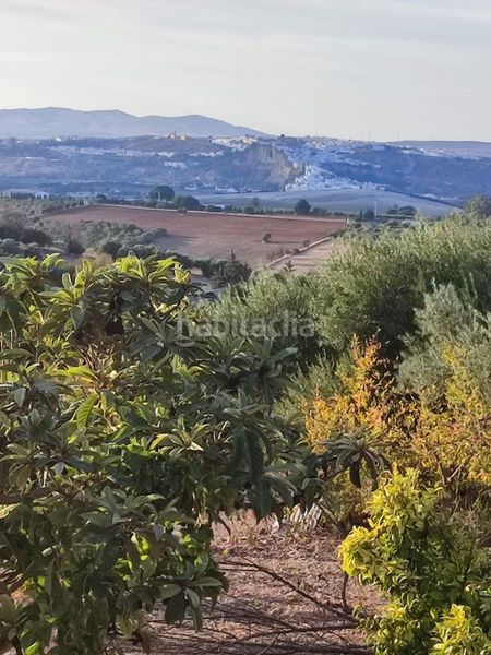 Foto d53b76cf-9f61-4b54-91ca-e97017b27ef7. Masia a Arcos de la Frontera